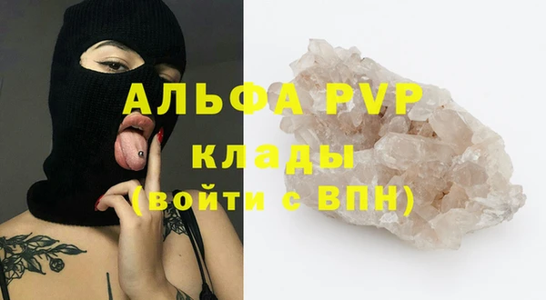 дмт Новодвинск