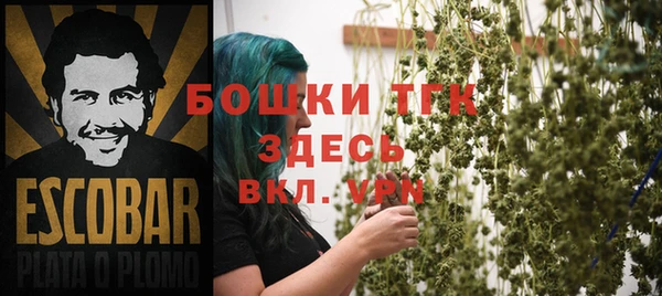 дмт Новодвинск